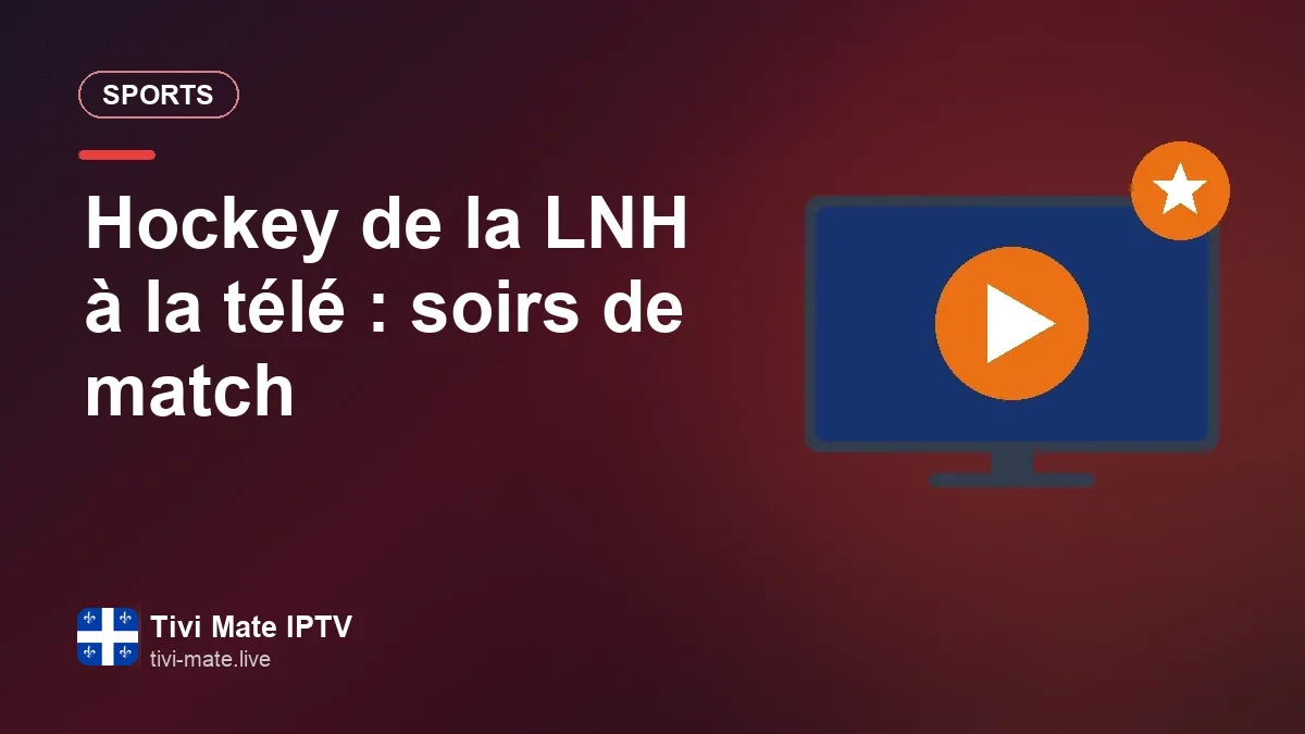 Un match de hockey de la LNH suivi à la télé au salon